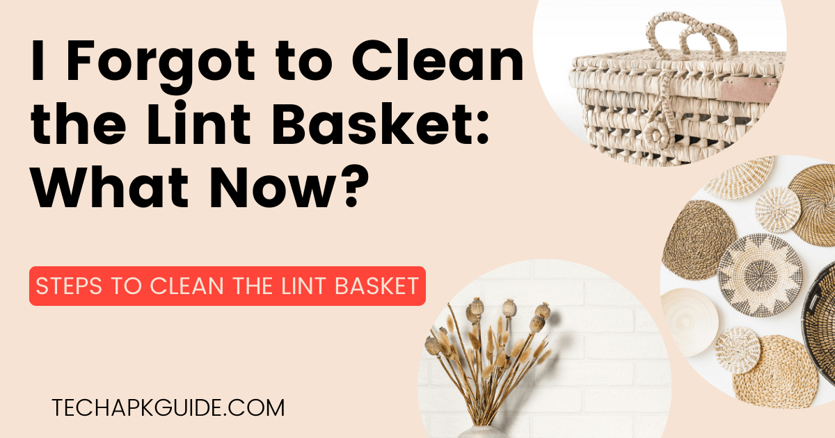 i forgot to clean the lint basket